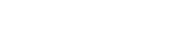 O e-investidor